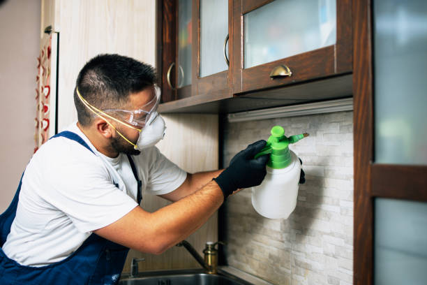 Best Termite Control Services  in Brocton, NY