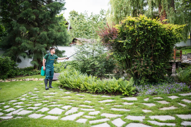 Trusted Brocton, NY Pest Control Experts