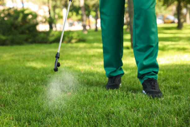 Best Local Pest Control Services  in Brocton, NY