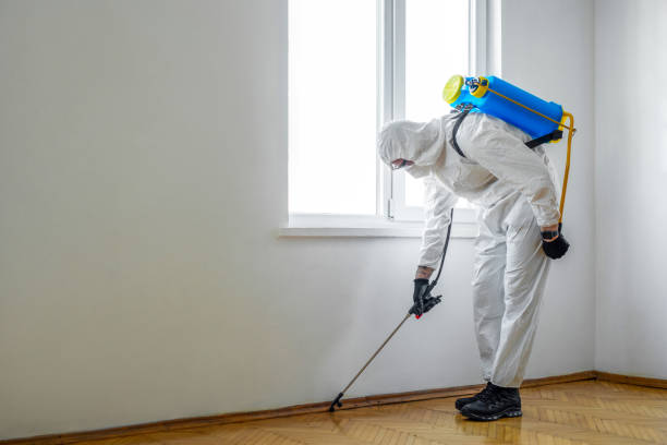 Best Exterminator Services  in Brocton, NY