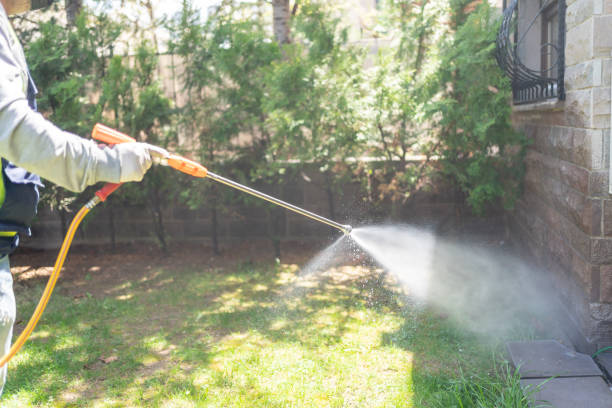 Best Wildlife Control Services  in Brocton, NY