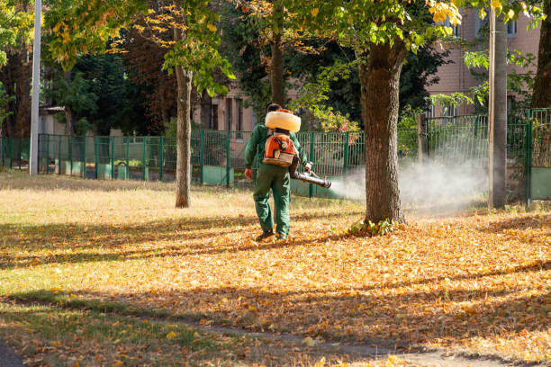  Brocton, NY Pest Control Pros